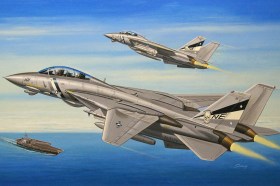 F-14d Super Tomcat by Hobby Boss