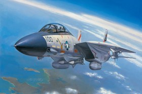 Grumman F-14A Tomcat by Hobby Boss