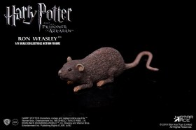 Ron Weasley Deluxe Ver. Harry Potter 1/6 Action Figure by Star Ace Toys