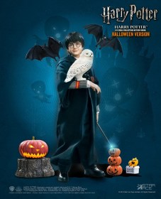 Harry Potter (Child) Halloween Limited Edition Harry Potter My Favourite Movie 1/6 Action Figure by Star Ace Toys