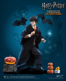 Harry Potter (Child) Halloween Limited Edition Harry Potter My Favourite Movie 1/6 Action Figure by Star Ace Toys