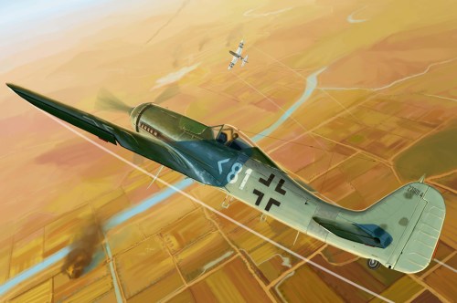 Focke Wulf FW 190D-11 by Hobby Boss