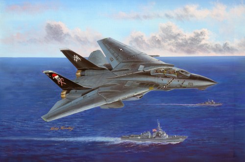 F-14B Tomcat by Hobby Boss