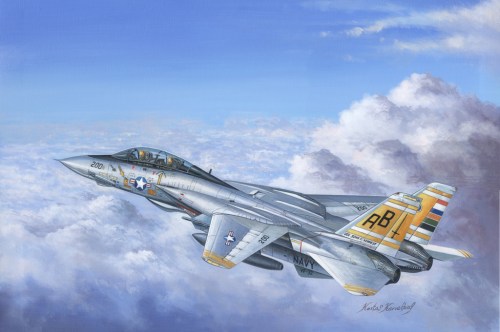 F-14A Tomcat by Hobby Boss