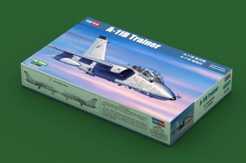 A-11B Trainer by Hobby Boss