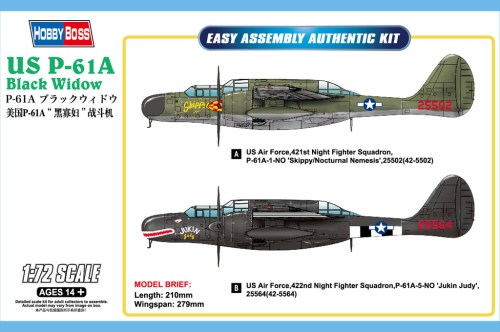 US P-61A Black Widow by Hobby Boss