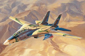 “Persian Cat” F-14A TomCat - IRIAF by Hobby Boss