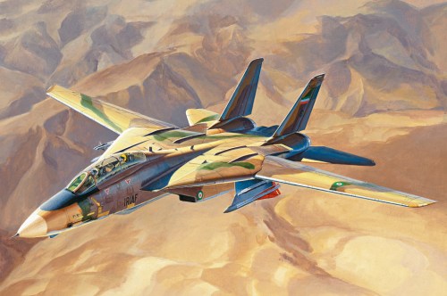 “Persian Cat” F-14A TomCat - IRIAF by Hobby Boss