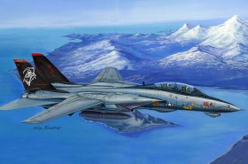 F-14D Super Tomcat by Hoby Boss