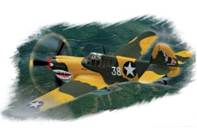 P-40E Kitty hawk by Hobby Boss