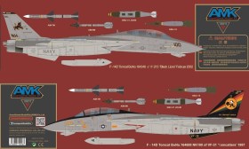 F-14D Super Tomcat (Bombcat) 1/48 Kit by AMK Models