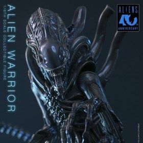 Alien Warrior Alien 1/6 Action Figure by Hot Toys
