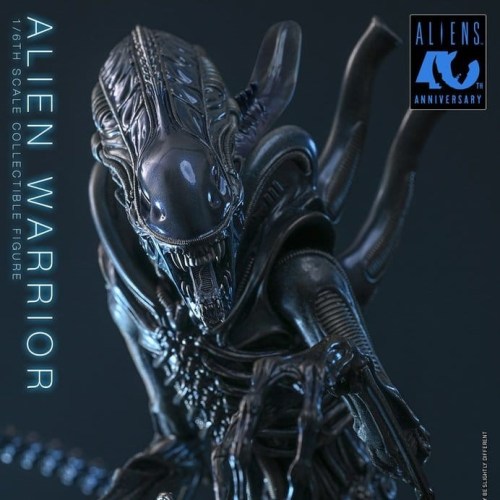 Alien Warrior Alien 1/6 Action Figure by Hot Toys