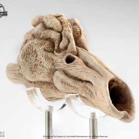Velociraptor Resonance Chamber Jurassic Park III Prop 1/1 Replica by ECC