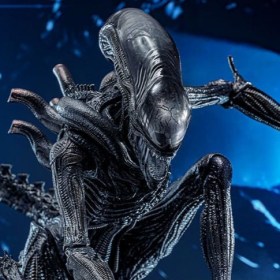 Scorched Xenomorph Alien Romulus 1/6 Action Figure by Hot Toys