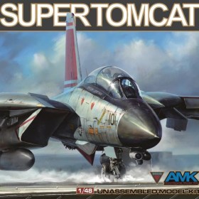 F-14D Super Tomcat 1/48 Kit by AMK Models