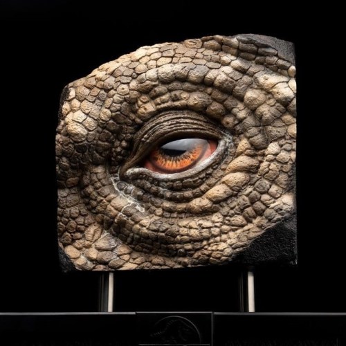 Triceratops Eye Prop (Reproduction) Jurassic Park Statue by ECC