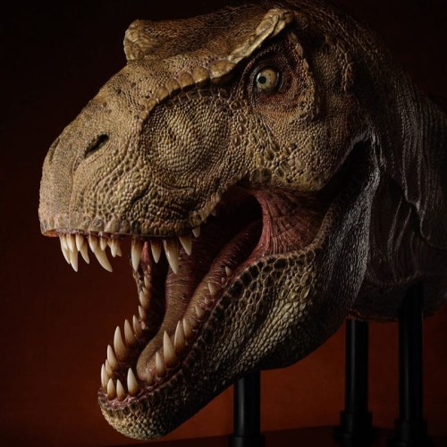 T-Rex Head Jurassic Park 1/2 Statue by ECC
