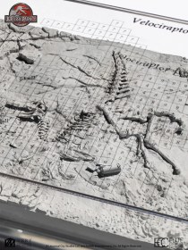Velociraptor Excavation Map Jurassic Park 3 by ECC