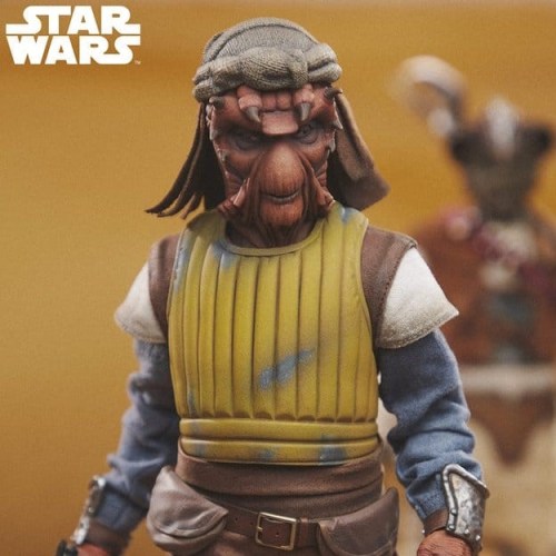 Vizam Star Wars 1/6 Action Figure by Sideshow Collectibles