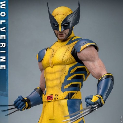 Wolverine Deadpool & Wolverine Movie Masterpiece 1/6 Action Figure by Hot Toys