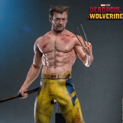 Wolverine (TVA Jacket Version) Deadpool & Wolverine Movie Masterpiece 1/6 Action Figure by Hot Toys