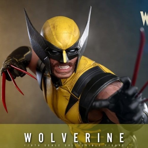 Wolverine Marvel 1/6 Action Figure by Hot Toys