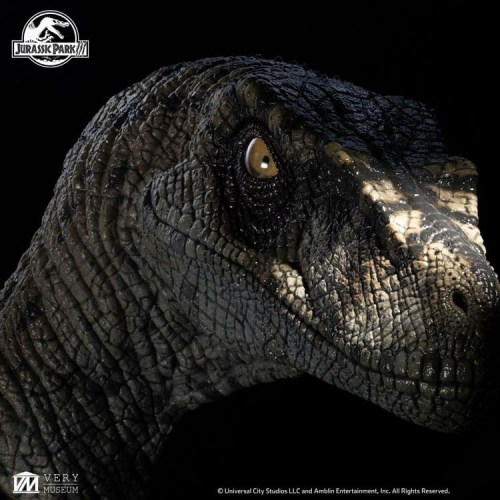 Female Velociraptor White Queen Jurassic Park III Bust by ECC