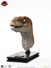 Male Velociraptor Jurassic Park Life-Size Bust by ECC