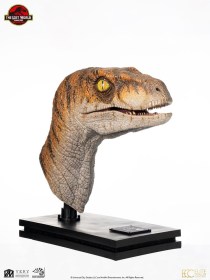 Male Velociraptor Jurassic Park Life-Size Bust by ECC