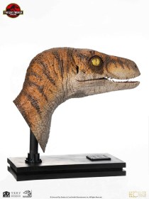 Male Velociraptor Jurassic Park Life-Size Bust by ECC