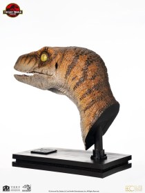 Male Velociraptor Jurassic Park Life-Size Bust by ECC