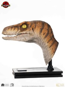 Male Velociraptor Jurassic Park Life-Size Bust by ECC