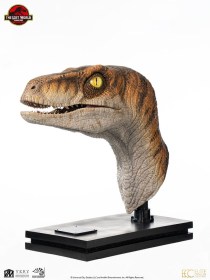 Male Velociraptor Jurassic Park Life-Size Bust by ECC