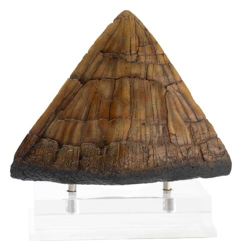 Triceratops Spike Prop (Reproduction) Jurassic Park Statue by ECC