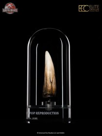 Spinosaurus Tooth Jurassic Park III Prop Replica 1/1 by ECC