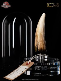 Spinosaurus Tooth Jurassic Park III Prop Replica 1/1 by ECC