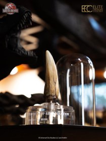 Spinosaurus Tooth Jurassic Park III Prop Replica 1/1 by ECC