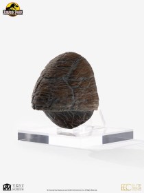 Triceratops Toenail Jurassic Park 1/1 Replica by ECC