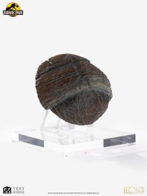 Triceratops Toenail Jurassic Park 1/1 Replica by ECC