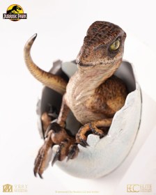 Velociraptor Hatching Egg Jurassic Park Replica Bust by ECC