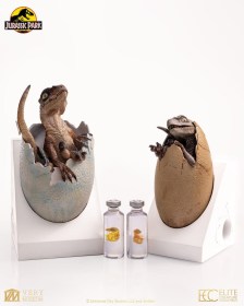 Velociraptor Hatching Egg Jurassic Park Replica Bust by ECC
