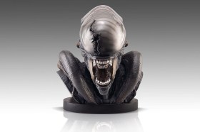 Xenomorph Alien Romulus 1/1 Bust by HCG