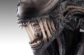 Xenomorph Alien Romulus 1/1 Bust by HCG