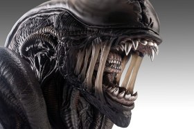 Xenomorph Alien Romulus 1/1 Bust by HCG