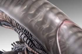 Xenomorph Alien Romulus 1/1 Bust by HCG