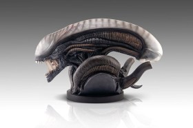 Xenomorph Alien Romulus 1/1 Bust by HCG