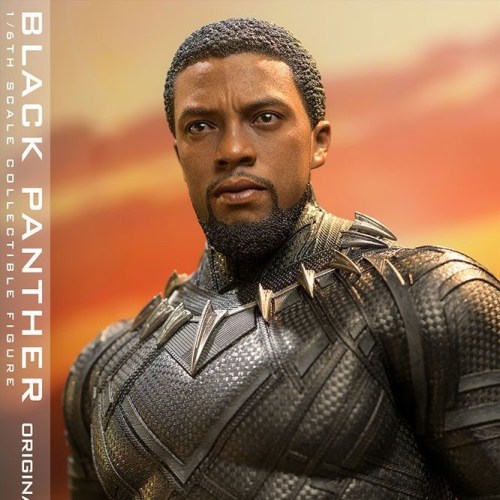 Hot Toys: Black Panther (Original Suit) Black Panther Movie Masterpiece ...