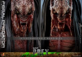 Feral Predator Prey 1/6 Action Figure by Hot Toys