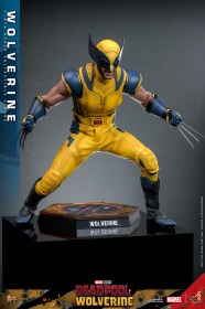 Wolverine Deadpool & Wolverine Movie Masterpiece 1/6 Action Figure by Hot Toys